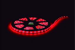 TIRA 60LEDSX MTS 3528  COLOR FIJO RJ.12V. x5MT.